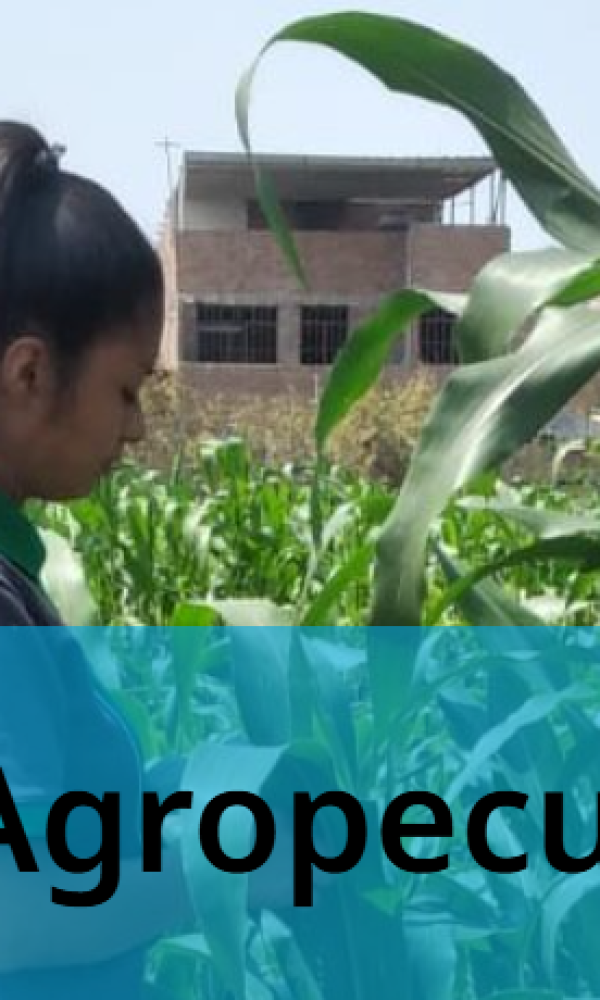 agropecuaria